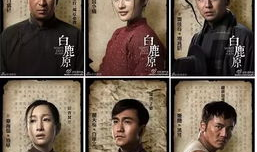 白鹿原电视剧哪个版本好看,经典再现，哪个版本更胜一筹？