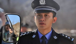 草帽警察电视剧全集播放,全剧揭秘，正义与勇气的守护之旅