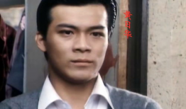 黄日华苗侨伟电视剧,江湖传奇，兄弟情深