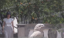 王楚然吃瓜爆料