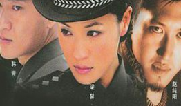 勋章电视剧,荣耀与牺牲的传奇